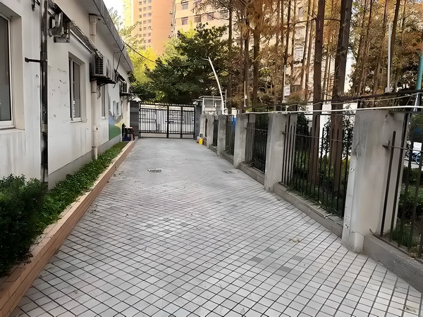 陈梦与演员任嘉伦一起打乒乓球，两人系发小+队友